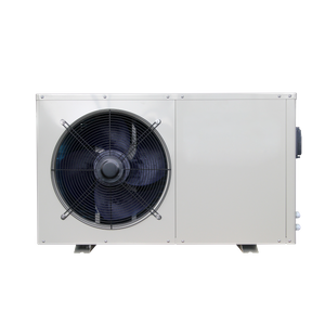 5 kW/6 kW/8 kW/12 kW/16 kW/30 kW R410a Zwempoel Warmtepomp Boiler Traditie Metaal - YC -serie